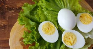 Benefits of Egg in Urdu