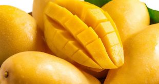 Benefits of mango in Urdu