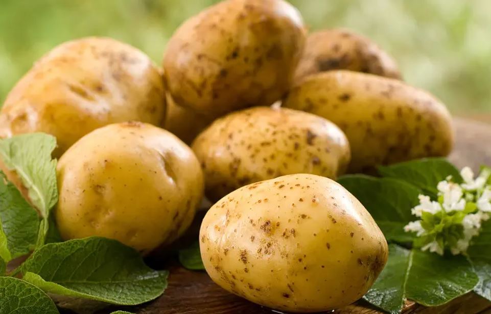 Potato Benefits in urdu