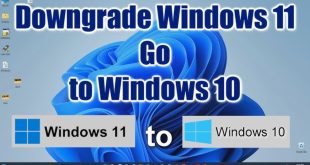 How to Downgrade Windows 11 to Windows 10