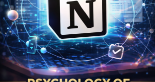 Notion Plus Educational